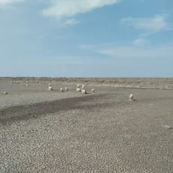 Lapindo Mud Volcano (Sidoarjo Mudflow) - Sidoarjo