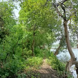 Lumpang Beach - Sidoarjo