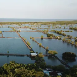 Lumpang Beach - Sidoarjo
