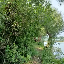 Lumpang Beach - Sidoarjo