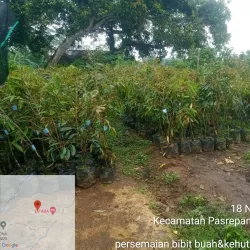 Porong River - Sidoarjo