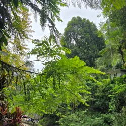 Curug Cimahi (Rainbow Waterfall) - Sukabumi