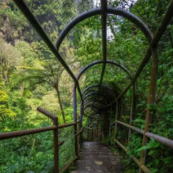 Curug Cimahi (Rainbow Waterfall) - Sukabumi
