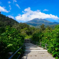 Mount Gede Pangrango National Park - Sukabumi
