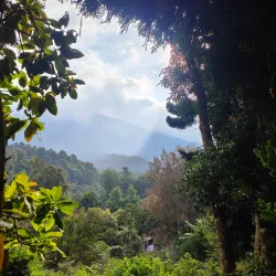 Mount Gede Pangrango National Park - Sukabumi