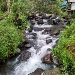 Sukabumi Tea Plantations - Sukabumi