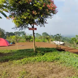 Sukabumi Tea Plantations - Sukabumi