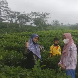 Sukabumi Tea Plantations - Sukabumi