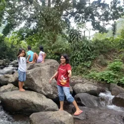 Sukabumi Tea Plantations - Sukabumi
