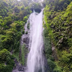 Sukabumi Tea Plantations - Sukabumi