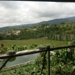 Sukabumi Tea Plantations - Sukabumi