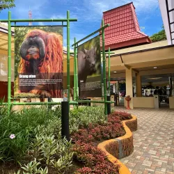 Surabaya Zoo (Kebun Binatang Surabaya) - Surabaya