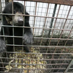 Surabaya Zoo (Kebun Binatang Surabaya) - Surabaya