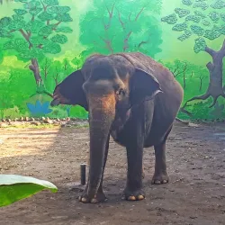 Surabaya Zoo (Kebun Binatang Surabaya) - Surabaya