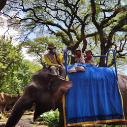 Surabaya Zoo (Kebun Binatang Surabaya) - Surabaya