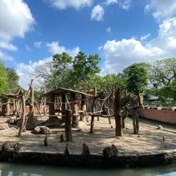 Surabaya Zoo (Kebun Binatang Surabaya) - Surabaya