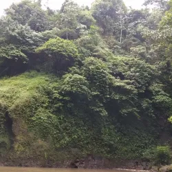 Blang Kolam Village - Takengon