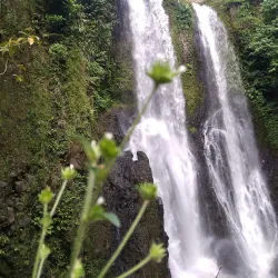 Blang Kolam Village - Takengon