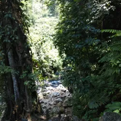 Blang Kolam Village - Takengon