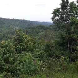 Blang Kolam Village - Takengon