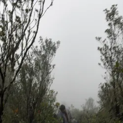 Gunung Burni Telong - Takengon