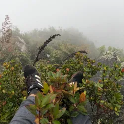 Gunung Burni Telong - Takengon