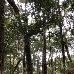 Gunung Burni Telong - Takengon