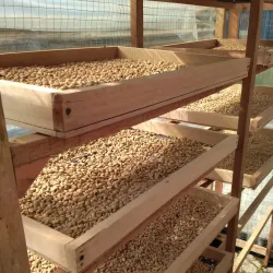 Museum Gayo - Takengon