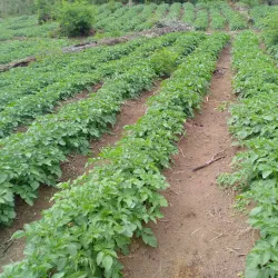 Pantan Musara Waterfall - Takengon