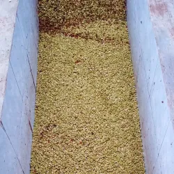 Pantan Musara Waterfall - Takengon