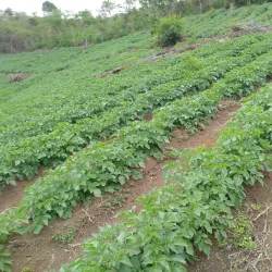 Pantan Musara Waterfall - Takengon