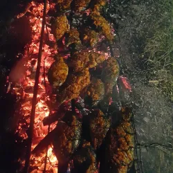 Pantan Musara Waterfall - Takengon