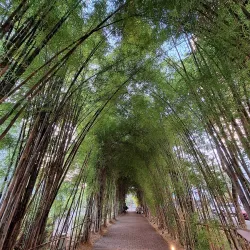 Scientia Square Park - Tangerang