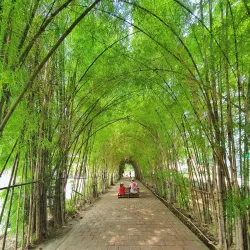 Scientia Square Park - Tangerang