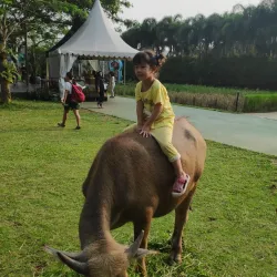 Scientia Square Park - Tangerang