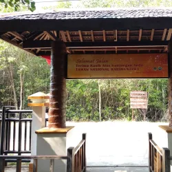 Mangrove Forests of Karimun - Tanjung Balai Karimun