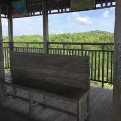 Mangrove Forests of Karimun - Tanjung Balai Karimun