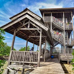 Mangrove Forests of Karimun - Tanjung Balai Karimun