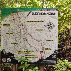 Mangrove Forests of Karimun - Tanjung Balai Karimun