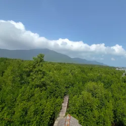 Mangrove Forests of Karimun - Tanjung Balai Karimun