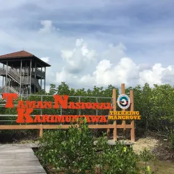 Mangrove Forests of Karimun - Tanjung Balai Karimun