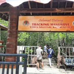 Mangrove Forests of Karimun - Tanjung Balai Karimun