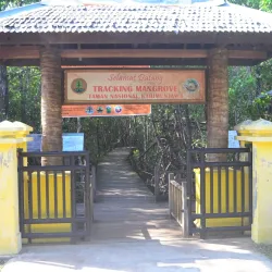 Mangrove Forests of Karimun - Tanjung Balai Karimun