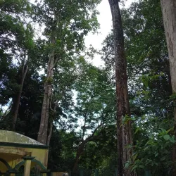 Pulau Buru - Tanjung Balai Karimun