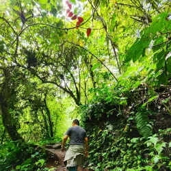 Curug Ciparay Waterfall - Tasikmalaya