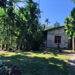 Freeport Memorial Park - Timika