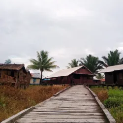 Lorentz National Park - Timika