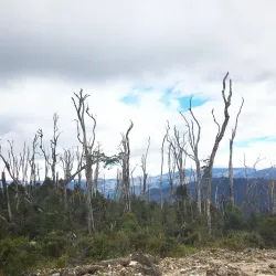 Lorentz National Park - Timika