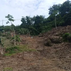 Marmer Tulungagung (Tulungagung Marble Industry) - Tulungagung