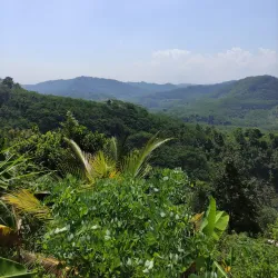 Nglirip Beach - Tulungagung